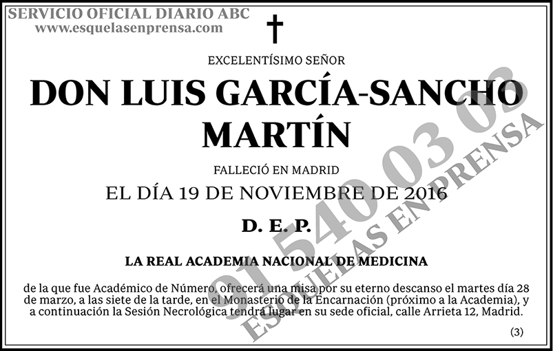 Luis García-Sancho Martín